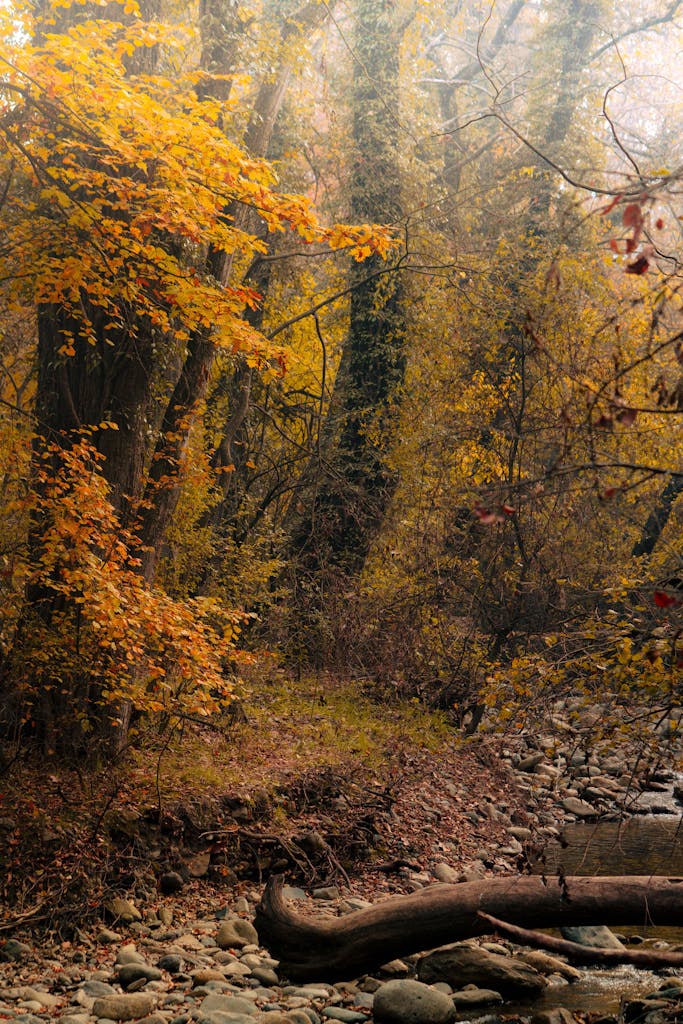 Never Run Out of Ideas: Top Tips for Generating Fresh Blog Topics